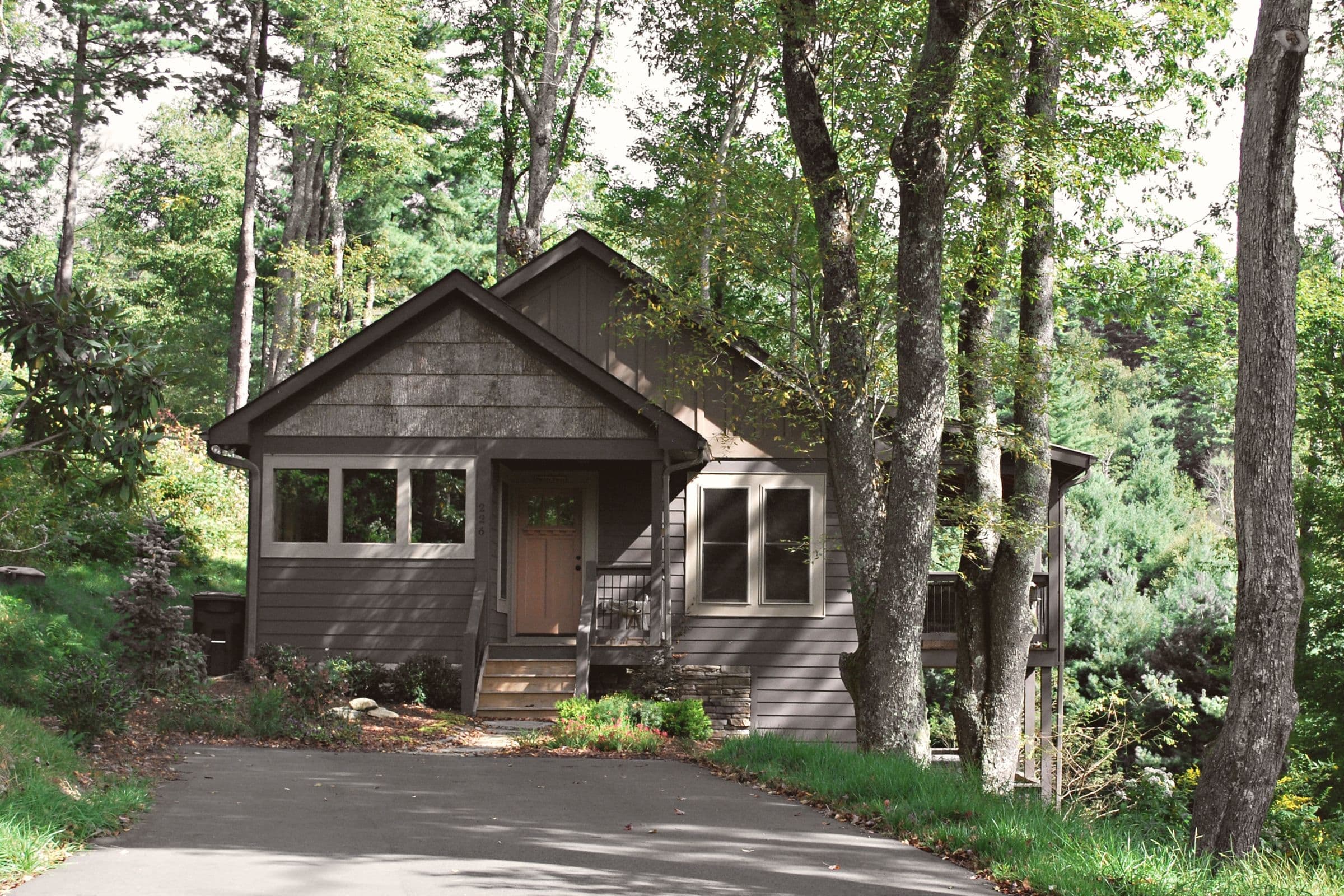 Brown shingle cottage tucked among tall hardwood trees with a paved driveway