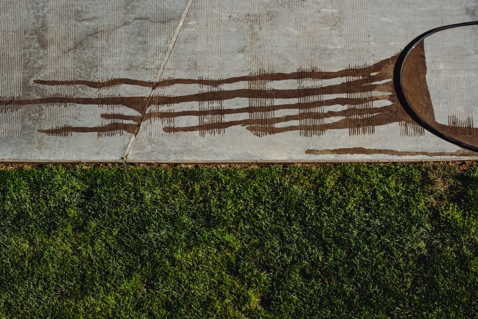 Overhead view of a hose and freshly washed wet concrete sidewalk beside grass